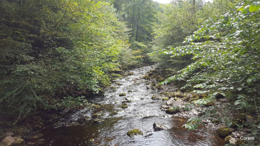 Ingleton Waterfalls